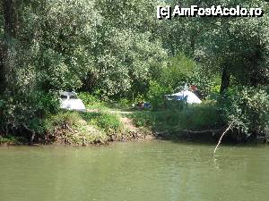 [P38] Peisaj surprins în timpul croazierei în Delta Dunării, de la bordul navei ”Delta II” » foto by mariana.olaru
 - 
<span class="allrVoted glyphicon glyphicon-heart hidden" id="av400793"></span>
<a class="m-l-10 hidden" id="sv400793" onclick="voting_Foto_DelVot(,400793,13626)" role="button">șterge vot <span class="glyphicon glyphicon-remove"></span></a>
<a id="v9400793" class=" c-red"  onclick="voting_Foto_SetVot(400793)" role="button"><span class="glyphicon glyphicon-heart-empty"></span> <b>LIKE</b> = Votează poza</a> <img class="hidden"  id="f400793W9" src="/imagini/loader.gif" border="0" /><span class="AjErrMes hidden" id="e400793ErM"></span>