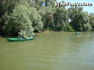 [P40] Peisaj surprins în timpul croazierei în Delta Dunării, de la bordul navei ”Delta II” » foto by mariana.olaru
 - 
<span class="allrVoted glyphicon glyphicon-heart hidden" id="av400795"></span>
<a class="m-l-10 hidden" id="sv400795" onclick="voting_Foto_DelVot(,400795,13626)" role="button">șterge vot <span class="glyphicon glyphicon-remove"></span></a>
<a id="v9400795" class=" c-red"  onclick="voting_Foto_SetVot(400795)" role="button"><span class="glyphicon glyphicon-heart-empty"></span> <b>LIKE</b> = Votează poza</a> <img class="hidden"  id="f400795W9" src="/imagini/loader.gif" border="0" /><span class="AjErrMes hidden" id="e400795ErM"></span>
