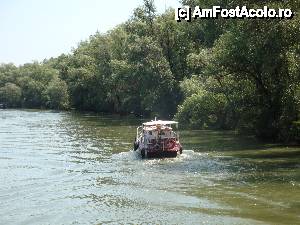 [P41] Peisaj surprins în timpul croazierei în Delta Dunării, de la bordul navei ”Delta II” » foto by mariana.olaru
 - 
<span class="allrVoted glyphicon glyphicon-heart hidden" id="av400796"></span>
<a class="m-l-10 hidden" id="sv400796" onclick="voting_Foto_DelVot(,400796,13626)" role="button">șterge vot <span class="glyphicon glyphicon-remove"></span></a>
<a id="v9400796" class=" c-red"  onclick="voting_Foto_SetVot(400796)" role="button"><span class="glyphicon glyphicon-heart-empty"></span> <b>LIKE</b> = Votează poza</a> <img class="hidden"  id="f400796W9" src="/imagini/loader.gif" border="0" /><span class="AjErrMes hidden" id="e400796ErM"></span>
