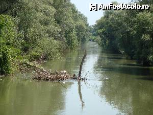 [P48] Un nedorit obstacol pe canalul de navigație în timpul croazierei în Delta Dunării, surprins de la bordul navei ”Delta II” » foto by mariana.olaru
 - 
<span class="allrVoted glyphicon glyphicon-heart hidden" id="av400803"></span>
<a class="m-l-10 hidden" id="sv400803" onclick="voting_Foto_DelVot(,400803,13626)" role="button">șterge vot <span class="glyphicon glyphicon-remove"></span></a>
<a id="v9400803" class=" c-red"  onclick="voting_Foto_SetVot(400803)" role="button"><span class="glyphicon glyphicon-heart-empty"></span> <b>LIKE</b> = Votează poza</a> <img class="hidden"  id="f400803W9" src="/imagini/loader.gif" border="0" /><span class="AjErrMes hidden" id="e400803ErM"></span>