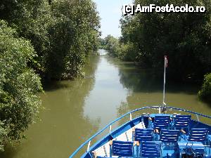 [P50] Peisaj surprins în timpul croazierei în Delta Dunării, de la bordul navei ”Delta II” » foto by mariana.olaru
 - 
<span class="allrVoted glyphicon glyphicon-heart hidden" id="av400805"></span>
<a class="m-l-10 hidden" id="sv400805" onclick="voting_Foto_DelVot(,400805,13626)" role="button">șterge vot <span class="glyphicon glyphicon-remove"></span></a>
<a id="v9400805" class=" c-red"  onclick="voting_Foto_SetVot(400805)" role="button"><span class="glyphicon glyphicon-heart-empty"></span> <b>LIKE</b> = Votează poza</a> <img class="hidden"  id="f400805W9" src="/imagini/loader.gif" border="0" /><span class="AjErrMes hidden" id="e400805ErM"></span>