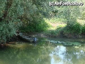 [P64] Peisaj surprins în timpul croazierei în Delta Dunării, de la bordul navei ”Delta II” » foto by mariana.olaru
 - 
<span class="allrVoted glyphicon glyphicon-heart hidden" id="av400819"></span>
<a class="m-l-10 hidden" id="sv400819" onclick="voting_Foto_DelVot(,400819,13626)" role="button">șterge vot <span class="glyphicon glyphicon-remove"></span></a>
<a id="v9400819" class=" c-red"  onclick="voting_Foto_SetVot(400819)" role="button"><span class="glyphicon glyphicon-heart-empty"></span> <b>LIKE</b> = Votează poza</a> <img class="hidden"  id="f400819W9" src="/imagini/loader.gif" border="0" /><span class="AjErrMes hidden" id="e400819ErM"></span>