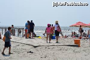 [P26] Plaja la Sulina » foto by sosso
 - 
<span class="allrVoted glyphicon glyphicon-heart hidden" id="av401083"></span>
<a class="m-l-10 hidden" id="sv401083" onclick="voting_Foto_DelVot(,401083,13633)" role="button">șterge vot <span class="glyphicon glyphicon-remove"></span></a>
<a id="v9401083" class=" c-red"  onclick="voting_Foto_SetVot(401083)" role="button"><span class="glyphicon glyphicon-heart-empty"></span> <b>LIKE</b> = Votează poza</a> <img class="hidden"  id="f401083W9" src="/imagini/loader.gif" border="0" /><span class="AjErrMes hidden" id="e401083ErM"></span>