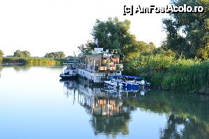 [P30]  -- <small>// FĂRĂ DESCRIERE</small> » foto by sosso
 - 
<span class="allrVoted glyphicon glyphicon-heart hidden" id="av401087"></span>
<a class="m-l-10 hidden" id="sv401087" onclick="voting_Foto_DelVot(,401087,13633)" role="button">șterge vot <span class="glyphicon glyphicon-remove"></span></a>
<a id="v9401087" class=" c-red"  onclick="voting_Foto_SetVot(401087)" role="button"><span class="glyphicon glyphicon-heart-empty"></span> <b>LIKE</b> = Votează poza</a> <img class="hidden"  id="f401087W9" src="/imagini/loader.gif" border="0" /><span class="AjErrMes hidden" id="e401087ErM"></span>