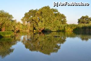 [P31]  -- <small>// FĂRĂ DESCRIERE</small> » foto by sosso
 - 
<span class="allrVoted glyphicon glyphicon-heart hidden" id="av401088"></span>
<a class="m-l-10 hidden" id="sv401088" onclick="voting_Foto_DelVot(,401088,13633)" role="button">șterge vot <span class="glyphicon glyphicon-remove"></span></a>
<a id="v9401088" class=" c-red"  onclick="voting_Foto_SetVot(401088)" role="button"><span class="glyphicon glyphicon-heart-empty"></span> <b>LIKE</b> = Votează poza</a> <img class="hidden"  id="f401088W9" src="/imagini/loader.gif" border="0" /><span class="AjErrMes hidden" id="e401088ErM"></span>