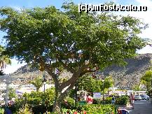 [P02] In ianuarie, noi am banuit ca asta ar fi putut sa fie bradul de Craciun :) cadourile erau inca acolo » foto by danieltanase*
 - 
<span class="allrVoted glyphicon glyphicon-heart hidden" id="av401575"></span>
<a class="m-l-10 hidden" id="sv401575" onclick="voting_Foto_DelVot(,401575,13647)" role="button">șterge vot <span class="glyphicon glyphicon-remove"></span></a>
<a id="v9401575" class=" c-red"  onclick="voting_Foto_SetVot(401575)" role="button"><span class="glyphicon glyphicon-heart-empty"></span> <b>LIKE</b> = Votează poza</a> <img class="hidden"  id="f401575W9" src="/imagini/loader.gif" border="0" /><span class="AjErrMes hidden" id="e401575ErM"></span>