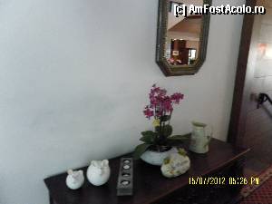 [P38] Decor pe unul dintre holuri » foto by Alina53
 - 
<span class="allrVoted glyphicon glyphicon-heart hidden" id="av402039"></span>
<a class="m-l-10 hidden" id="sv402039" onclick="voting_Foto_DelVot(,402039,13667)" role="button">șterge vot <span class="glyphicon glyphicon-remove"></span></a>
<a id="v9402039" class=" c-red"  onclick="voting_Foto_SetVot(402039)" role="button"><span class="glyphicon glyphicon-heart-empty"></span> <b>LIKE</b> = Votează poza</a> <img class="hidden"  id="f402039W9" src="/imagini/loader.gif" border="0" /><span class="AjErrMes hidden" id="e402039ErM"></span>