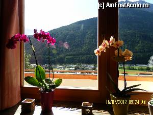 [P54] Priveliste de la fereastra salonului de receptie » foto by Alina53
 - 
<span class="allrVoted glyphicon glyphicon-heart hidden" id="av402055"></span>
<a class="m-l-10 hidden" id="sv402055" onclick="voting_Foto_DelVot(,402055,13667)" role="button">șterge vot <span class="glyphicon glyphicon-remove"></span></a>
<a id="v9402055" class=" c-red"  onclick="voting_Foto_SetVot(402055)" role="button"><span class="glyphicon glyphicon-heart-empty"></span> <b>LIKE</b> = Votează poza</a> <img class="hidden"  id="f402055W9" src="/imagini/loader.gif" border="0" /><span class="AjErrMes hidden" id="e402055ErM"></span>