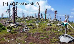 [P07] Detaliu prima din 'poiană' cu monumente secuieşti » foto by Lucien
 - 
<span class="allrVoted glyphicon glyphicon-heart hidden" id="av780704"></span>
<a class="m-l-10 hidden" id="sv780704" onclick="voting_Foto_DelVot(,780704,13675)" role="button">șterge vot <span class="glyphicon glyphicon-remove"></span></a>
<a id="v9780704" class=" c-red"  onclick="voting_Foto_SetVot(780704)" role="button"><span class="glyphicon glyphicon-heart-empty"></span> <b>LIKE</b> = Votează poza</a> <img class="hidden"  id="f780704W9" src="/imagini/loader.gif" border="0" /><span class="AjErrMes hidden" id="e780704ErM"></span>