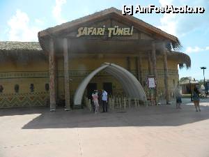[P11] SAFARİ TÜNEL – seamănă ca idee Buzz Lightyear Astro Blasters – ești dotat cu niște pistoale cu raze cu care tragi asupra țintelor și primești puncte » foto by Dabator
 - 
<span class="allrVoted glyphicon glyphicon-heart hidden" id="av505572"></span>
<a class="m-l-10 hidden" id="sv505572" onclick="voting_Foto_DelVot(,505572,13686)" role="button">șterge vot <span class="glyphicon glyphicon-remove"></span></a>
<a id="v9505572" class=" c-red"  onclick="voting_Foto_SetVot(505572)" role="button"><span class="glyphicon glyphicon-heart-empty"></span> <b>LIKE</b> = Votează poza</a> <img class="hidden"  id="f505572W9" src="/imagini/loader.gif" border="0" /><span class="AjErrMes hidden" id="e505572ErM"></span>