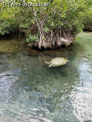 [P22] Xcaret Park » foto by HelloAlex
 - 
<span class="allrVoted glyphicon glyphicon-heart hidden" id="av1343919"></span>
<a class="m-l-10 hidden" id="sv1343919" onclick="voting_Foto_DelVot(,1343919,13710)" role="button">șterge vot <span class="glyphicon glyphicon-remove"></span></a>
<a id="v91343919" class=" c-red"  onclick="voting_Foto_SetVot(1343919)" role="button"><span class="glyphicon glyphicon-heart-empty"></span> <b>LIKE</b> = Votează poza</a> <img class="hidden"  id="f1343919W9" src="/imagini/loader.gif" border="0" /><span class="AjErrMes hidden" id="e1343919ErM"></span>