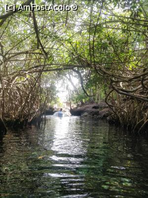 [P56] Xel-ha Park cu gogoasa prin mangrova » foto by HelloAlex
 - 
<span class="allrVoted glyphicon glyphicon-heart hidden" id="av1343953"></span>
<a class="m-l-10 hidden" id="sv1343953" onclick="voting_Foto_DelVot(,1343953,13710)" role="button">șterge vot <span class="glyphicon glyphicon-remove"></span></a>
<a id="v91343953" class=" c-red"  onclick="voting_Foto_SetVot(1343953)" role="button"><span class="glyphicon glyphicon-heart-empty"></span> <b>LIKE</b> = Votează poza</a> <img class="hidden"  id="f1343953W9" src="/imagini/loader.gif" border="0" /><span class="AjErrMes hidden" id="e1343953ErM"></span>