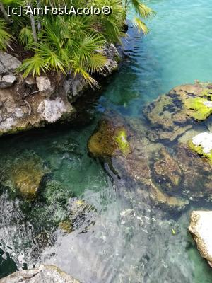 [P62] Xel-ha Park » foto by HelloAlex
 - 
<span class="allrVoted glyphicon glyphicon-heart hidden" id="av1343959"></span>
<a class="m-l-10 hidden" id="sv1343959" onclick="voting_Foto_DelVot(,1343959,13710)" role="button">șterge vot <span class="glyphicon glyphicon-remove"></span></a>
<a id="v91343959" class=" c-red"  onclick="voting_Foto_SetVot(1343959)" role="button"><span class="glyphicon glyphicon-heart-empty"></span> <b>LIKE</b> = Votează poza</a> <img class="hidden"  id="f1343959W9" src="/imagini/loader.gif" border="0" /><span class="AjErrMes hidden" id="e1343959ErM"></span>