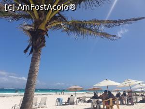 [P41] plaja din Tulum » foto by robert
 - 
<span class="allrVoted glyphicon glyphicon-heart hidden" id="av1163453"></span>
<a class="m-l-10 hidden" id="sv1163453" onclick="voting_Foto_DelVot(,1163453,13710)" role="button">șterge vot <span class="glyphicon glyphicon-remove"></span></a>
<a id="v91163453" class=" c-red"  onclick="voting_Foto_SetVot(1163453)" role="button"><span class="glyphicon glyphicon-heart-empty"></span> <b>LIKE</b> = Votează poza</a> <img class="hidden"  id="f1163453W9" src="/imagini/loader.gif" border="0" /><span class="AjErrMes hidden" id="e1163453ErM"></span>