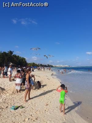 [P50] Playa del Carmen » foto by robert
 - 
<span class="allrVoted glyphicon glyphicon-heart hidden" id="av1163462"></span>
<a class="m-l-10 hidden" id="sv1163462" onclick="voting_Foto_DelVot(,1163462,13710)" role="button">șterge vot <span class="glyphicon glyphicon-remove"></span></a>
<a id="v91163462" class=" c-red"  onclick="voting_Foto_SetVot(1163462)" role="button"><span class="glyphicon glyphicon-heart-empty"></span> <b>LIKE</b> = Votează poza</a> <img class="hidden"  id="f1163462W9" src="/imagini/loader.gif" border="0" /><span class="AjErrMes hidden" id="e1163462ErM"></span>