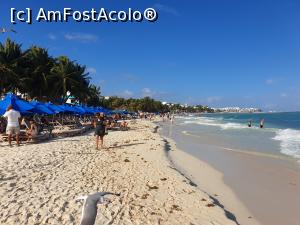 [P51] Playa del Carmen » foto by robert
 - 
<span class="allrVoted glyphicon glyphicon-heart hidden" id="av1163463"></span>
<a class="m-l-10 hidden" id="sv1163463" onclick="voting_Foto_DelVot(,1163463,13710)" role="button">șterge vot <span class="glyphicon glyphicon-remove"></span></a>
<a id="v91163463" class=" c-red"  onclick="voting_Foto_SetVot(1163463)" role="button"><span class="glyphicon glyphicon-heart-empty"></span> <b>LIKE</b> = Votează poza</a> <img class="hidden"  id="f1163463W9" src="/imagini/loader.gif" border="0" /><span class="AjErrMes hidden" id="e1163463ErM"></span>