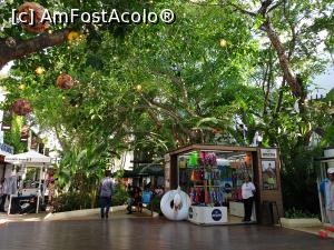 [P55] stațiunea Playa del Carmen » foto by robert
 - 
<span class="allrVoted glyphicon glyphicon-heart hidden" id="av1163467"></span>
<a class="m-l-10 hidden" id="sv1163467" onclick="voting_Foto_DelVot(,1163467,13710)" role="button">șterge vot <span class="glyphicon glyphicon-remove"></span></a>
<a id="v91163467" class=" c-red"  onclick="voting_Foto_SetVot(1163467)" role="button"><span class="glyphicon glyphicon-heart-empty"></span> <b>LIKE</b> = Votează poza</a> <img class="hidden"  id="f1163467W9" src="/imagini/loader.gif" border="0" /><span class="AjErrMes hidden" id="e1163467ErM"></span>
