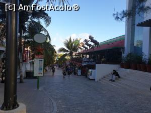 [P59] stațiunea Playa del Carmen » foto by robert
 - 
<span class="allrVoted glyphicon glyphicon-heart hidden" id="av1163471"></span>
<a class="m-l-10 hidden" id="sv1163471" onclick="voting_Foto_DelVot(,1163471,13710)" role="button">șterge vot <span class="glyphicon glyphicon-remove"></span></a>
<a id="v91163471" class=" c-red"  onclick="voting_Foto_SetVot(1163471)" role="button"><span class="glyphicon glyphicon-heart-empty"></span> <b>LIKE</b> = Votează poza</a> <img class="hidden"  id="f1163471W9" src="/imagini/loader.gif" border="0" /><span class="AjErrMes hidden" id="e1163471ErM"></span>
