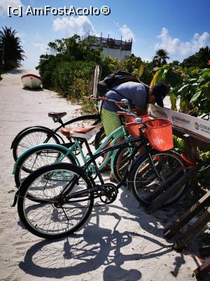 [P10] Cu bicicleta în Tulum - intrare pe plaja » foto by cata2106
 - 
<span class="allrVoted glyphicon glyphicon-heart hidden" id="av1224937"></span>
<a class="m-l-10 hidden" id="sv1224937" onclick="voting_Foto_DelVot(,1224937,13710)" role="button">șterge vot <span class="glyphicon glyphicon-remove"></span></a>
<a id="v91224937" class=" c-red"  onclick="voting_Foto_SetVot(1224937)" role="button"><span class="glyphicon glyphicon-heart-empty"></span> <b>LIKE</b> = Votează poza</a> <img class="hidden"  id="f1224937W9" src="/imagini/loader.gif" border="0" /><span class="AjErrMes hidden" id="e1224937ErM"></span>