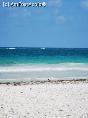 [P37] Playa Paraiso » foto by cata2106
 - 
<span class="allrVoted glyphicon glyphicon-heart hidden" id="av1224964"></span>
<a class="m-l-10 hidden" id="sv1224964" onclick="voting_Foto_DelVot(,1224964,13710)" role="button">șterge vot <span class="glyphicon glyphicon-remove"></span></a>
<a id="v91224964" class=" c-red"  onclick="voting_Foto_SetVot(1224964)" role="button"><span class="glyphicon glyphicon-heart-empty"></span> <b>LIKE</b> = Votează poza</a> <img class="hidden"  id="f1224964W9" src="/imagini/loader.gif" border="0" /><span class="AjErrMes hidden" id="e1224964ErM"></span>