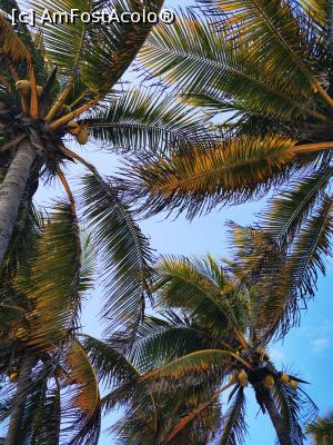 [P38] Playa Paraiso » foto by cata2106
 - 
<span class="allrVoted glyphicon glyphicon-heart hidden" id="av1224965"></span>
<a class="m-l-10 hidden" id="sv1224965" onclick="voting_Foto_DelVot(,1224965,13710)" role="button">șterge vot <span class="glyphicon glyphicon-remove"></span></a>
<a id="v91224965" class=" c-red"  onclick="voting_Foto_SetVot(1224965)" role="button"><span class="glyphicon glyphicon-heart-empty"></span> <b>LIKE</b> = Votează poza</a> <img class="hidden"  id="f1224965W9" src="/imagini/loader.gif" border="0" /><span class="AjErrMes hidden" id="e1224965ErM"></span>
