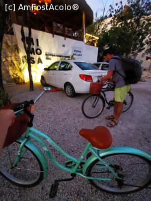 [P51] Gata cu bicicleta pe prima zi » foto by cata2106
 - 
<span class="allrVoted glyphicon glyphicon-heart hidden" id="av1224978"></span>
<a class="m-l-10 hidden" id="sv1224978" onclick="voting_Foto_DelVot(,1224978,13710)" role="button">șterge vot <span class="glyphicon glyphicon-remove"></span></a>
<a id="v91224978" class=" c-red"  onclick="voting_Foto_SetVot(1224978)" role="button"><span class="glyphicon glyphicon-heart-empty"></span> <b>LIKE</b> = Votează poza</a> <img class="hidden"  id="f1224978W9" src="/imagini/loader.gif" border="0" /><span class="AjErrMes hidden" id="e1224978ErM"></span>