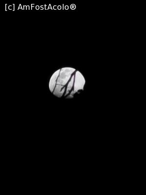 [P55] Luna în Tulum » foto by cata2106
 - 
<span class="allrVoted glyphicon glyphicon-heart hidden" id="av1224982"></span>
<a class="m-l-10 hidden" id="sv1224982" onclick="voting_Foto_DelVot(,1224982,13710)" role="button">șterge vot <span class="glyphicon glyphicon-remove"></span></a>
<a id="v91224982" class=" c-red"  onclick="voting_Foto_SetVot(1224982)" role="button"><span class="glyphicon glyphicon-heart-empty"></span> <b>LIKE</b> = Votează poza</a> <img class="hidden"  id="f1224982W9" src="/imagini/loader.gif" border="0" /><span class="AjErrMes hidden" id="e1224982ErM"></span>