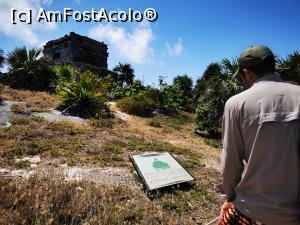 [P20] Ruinele din Tulum » foto by cata2106
 - 
<span class="allrVoted glyphicon glyphicon-heart hidden" id="av1226490"></span>
<a class="m-l-10 hidden" id="sv1226490" onclick="voting_Foto_DelVot(,1226490,13710)" role="button">șterge vot <span class="glyphicon glyphicon-remove"></span></a>
<a id="v91226490" class=" c-red"  onclick="voting_Foto_SetVot(1226490)" role="button"><span class="glyphicon glyphicon-heart-empty"></span> <b>LIKE</b> = Votează poza</a> <img class="hidden"  id="f1226490W9" src="/imagini/loader.gif" border="0" /><span class="AjErrMes hidden" id="e1226490ErM"></span>