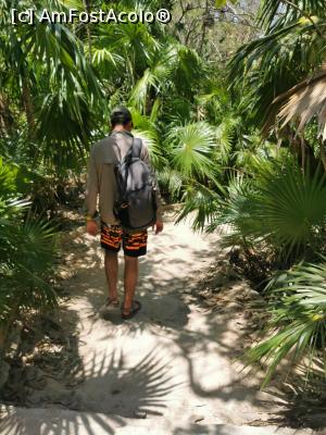 [P42] Ruinele din Tulum » foto by cata2106
 - 
<span class="allrVoted glyphicon glyphicon-heart hidden" id="av1226512"></span>
<a class="m-l-10 hidden" id="sv1226512" onclick="voting_Foto_DelVot(,1226512,13710)" role="button">șterge vot <span class="glyphicon glyphicon-remove"></span></a>
<a id="v91226512" class=" c-red"  onclick="voting_Foto_SetVot(1226512)" role="button"><span class="glyphicon glyphicon-heart-empty"></span> <b>LIKE</b> = Votează poza</a> <img class="hidden"  id="f1226512W9" src="/imagini/loader.gif" border="0" /><span class="AjErrMes hidden" id="e1226512ErM"></span>