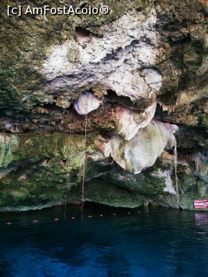 [P48] Cenotes Dos Ojos » foto by cata2106
 - 
<span class="allrVoted glyphicon glyphicon-heart hidden" id="av1226518"></span>
<a class="m-l-10 hidden" id="sv1226518" onclick="voting_Foto_DelVot(,1226518,13710)" role="button">șterge vot <span class="glyphicon glyphicon-remove"></span></a>
<a id="v91226518" class=" c-red"  onclick="voting_Foto_SetVot(1226518)" role="button"><span class="glyphicon glyphicon-heart-empty"></span> <b>LIKE</b> = Votează poza</a> <img class="hidden"  id="f1226518W9" src="/imagini/loader.gif" border="0" /><span class="AjErrMes hidden" id="e1226518ErM"></span>