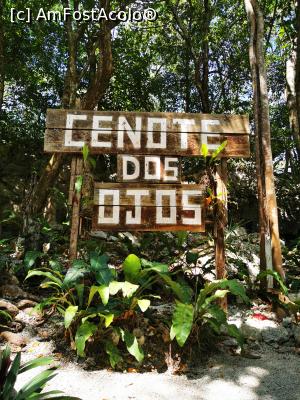 [P55] Cenotes Dos Ojos » foto by cata2106
 - 
<span class="allrVoted glyphicon glyphicon-heart hidden" id="av1226525"></span>
<a class="m-l-10 hidden" id="sv1226525" onclick="voting_Foto_DelVot(,1226525,13710)" role="button">șterge vot <span class="glyphicon glyphicon-remove"></span></a>
<a id="v91226525" class=" c-red"  onclick="voting_Foto_SetVot(1226525)" role="button"><span class="glyphicon glyphicon-heart-empty"></span> <b>LIKE</b> = Votează poza</a> <img class="hidden"  id="f1226525W9" src="/imagini/loader.gif" border="0" /><span class="AjErrMes hidden" id="e1226525ErM"></span>