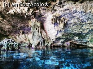 [P63] Cenotes Dos Ojos » foto by cata2106
 - 
<span class="allrVoted glyphicon glyphicon-heart hidden" id="av1226533"></span>
<a class="m-l-10 hidden" id="sv1226533" onclick="voting_Foto_DelVot(,1226533,13710)" role="button">șterge vot <span class="glyphicon glyphicon-remove"></span></a>
<a id="v91226533" class=" c-red"  onclick="voting_Foto_SetVot(1226533)" role="button"><span class="glyphicon glyphicon-heart-empty"></span> <b>LIKE</b> = Votează poza</a> <img class="hidden"  id="f1226533W9" src="/imagini/loader.gif" border="0" /><span class="AjErrMes hidden" id="e1226533ErM"></span>