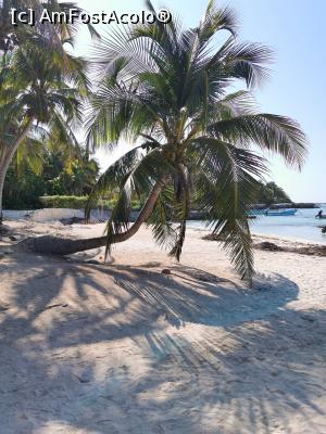 [P11] Playa Akumal » foto by cata2106
 - 
<span class="allrVoted glyphicon glyphicon-heart hidden" id="av1228779"></span>
<a class="m-l-10 hidden" id="sv1228779" onclick="voting_Foto_DelVot(,1228779,13710)" role="button">șterge vot <span class="glyphicon glyphicon-remove"></span></a>
<a id="v91228779" class=" c-red"  onclick="voting_Foto_SetVot(1228779)" role="button"><span class="glyphicon glyphicon-heart-empty"></span> <b>LIKE</b> = Votează poza</a> <img class="hidden"  id="f1228779W9" src="/imagini/loader.gif" border="0" /><span class="AjErrMes hidden" id="e1228779ErM"></span>