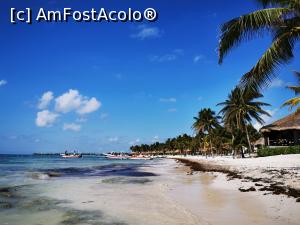 [P17] Playa Akumal » foto by cata2106
 - 
<span class="allrVoted glyphicon glyphicon-heart hidden" id="av1228785"></span>
<a class="m-l-10 hidden" id="sv1228785" onclick="voting_Foto_DelVot(,1228785,13710)" role="button">șterge vot <span class="glyphicon glyphicon-remove"></span></a>
<a id="v91228785" class=" c-red"  onclick="voting_Foto_SetVot(1228785)" role="button"><span class="glyphicon glyphicon-heart-empty"></span> <b>LIKE</b> = Votează poza</a> <img class="hidden"  id="f1228785W9" src="/imagini/loader.gif" border="0" /><span class="AjErrMes hidden" id="e1228785ErM"></span>