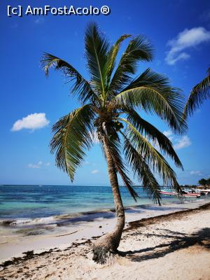 [P18] Playa Akumal » foto by cata2106
 - 
<span class="allrVoted glyphicon glyphicon-heart hidden" id="av1228786"></span>
<a class="m-l-10 hidden" id="sv1228786" onclick="voting_Foto_DelVot(,1228786,13710)" role="button">șterge vot <span class="glyphicon glyphicon-remove"></span></a>
<a id="v91228786" class=" c-red"  onclick="voting_Foto_SetVot(1228786)" role="button"><span class="glyphicon glyphicon-heart-empty"></span> <b>LIKE</b> = Votează poza</a> <img class="hidden"  id="f1228786W9" src="/imagini/loader.gif" border="0" /><span class="AjErrMes hidden" id="e1228786ErM"></span>
