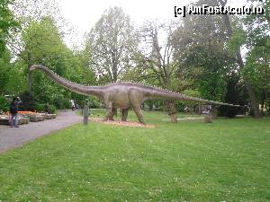 [P04] Acesta era cel mai lung dinozaur din toată expoziția.  » foto by alexa91
 - 
<span class="allrVoted glyphicon glyphicon-heart hidden" id="av404935"></span>
<a class="m-l-10 hidden" id="sv404935" onclick="voting_Foto_DelVot(,404935,13724)" role="button">șterge vot <span class="glyphicon glyphicon-remove"></span></a>
<a id="v9404935" class=" c-red"  onclick="voting_Foto_SetVot(404935)" role="button"><span class="glyphicon glyphicon-heart-empty"></span> <b>LIKE</b> = Votează poza</a> <img class="hidden"  id="f404935W9" src="/imagini/loader.gif" border="0" /><span class="AjErrMes hidden" id="e404935ErM"></span>