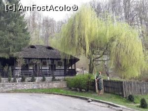 [P20] Mănăstirea Robaia - aceasta este modelul de căsuță la care visăm noi pentru bătrânețe.  » foto by Aurici
 - 
<span class="allrVoted glyphicon glyphicon-heart hidden" id="av1032234"></span>
<a class="m-l-10 hidden" id="sv1032234" onclick="voting_Foto_DelVot(,1032234,13734)" role="button">șterge vot <span class="glyphicon glyphicon-remove"></span></a>
<a id="v91032234" class=" c-red"  onclick="voting_Foto_SetVot(1032234)" role="button"><span class="glyphicon glyphicon-heart-empty"></span> <b>LIKE</b> = Votează poza</a> <img class="hidden"  id="f1032234W9" src="/imagini/loader.gif" border="0" /><span class="AjErrMes hidden" id="e1032234ErM"></span>