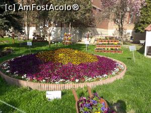[P34] Mănăstirea Curtea de Argeș - curtea frumoasă.  » foto by Aurici
 - 
<span class="allrVoted glyphicon glyphicon-heart hidden" id="av1032248"></span>
<a class="m-l-10 hidden" id="sv1032248" onclick="voting_Foto_DelVot(,1032248,13734)" role="button">șterge vot <span class="glyphicon glyphicon-remove"></span></a>
<a id="v91032248" class=" c-red"  onclick="voting_Foto_SetVot(1032248)" role="button"><span class="glyphicon glyphicon-heart-empty"></span> <b>LIKE</b> = Votează poza</a> <img class="hidden"  id="f1032248W9" src="/imagini/loader.gif" border="0" /><span class="AjErrMes hidden" id="e1032248ErM"></span>