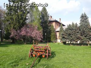 [P35] Mănăstirea Curtea de Argeș - curtea frumoasă.  » foto by Aurici
 - 
<span class="allrVoted glyphicon glyphicon-heart hidden" id="av1032249"></span>
<a class="m-l-10 hidden" id="sv1032249" onclick="voting_Foto_DelVot(,1032249,13734)" role="button">șterge vot <span class="glyphicon glyphicon-remove"></span></a>
<a id="v91032249" class=" c-red"  onclick="voting_Foto_SetVot(1032249)" role="button"><span class="glyphicon glyphicon-heart-empty"></span> <b>LIKE</b> = Votează poza</a> <img class="hidden"  id="f1032249W9" src="/imagini/loader.gif" border="0" /><span class="AjErrMes hidden" id="e1032249ErM"></span>