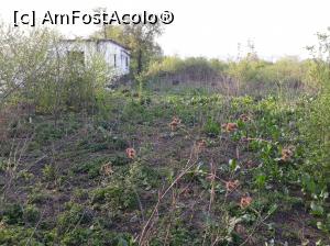 [P38] Situl Buridava - inclus în Lista Monumentelor istorice încă din 2004 dar lăsat de izbeliște de autoritățile locale » foto by Aurici
 - 
<span class="allrVoted glyphicon glyphicon-heart hidden" id="av1032252"></span>
<a class="m-l-10 hidden" id="sv1032252" onclick="voting_Foto_DelVot(,1032252,13734)" role="button">șterge vot <span class="glyphicon glyphicon-remove"></span></a>
<a id="v91032252" class=" c-red"  onclick="voting_Foto_SetVot(1032252)" role="button"><span class="glyphicon glyphicon-heart-empty"></span> <b>LIKE</b> = Votează poza</a> <img class="hidden"  id="f1032252W9" src="/imagini/loader.gif" border="0" /><span class="AjErrMes hidden" id="e1032252ErM"></span>