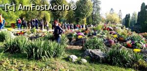 [P01] Printre flori .....la expoziţia "Flori de toamnă" - 2019 » foto by gettyy
 - 
<span class="allrVoted glyphicon glyphicon-heart hidden" id="av1162348"></span>
<a class="m-l-10 hidden" id="sv1162348" onclick="voting_Foto_DelVot(,1162348,13735)" role="button">șterge vot <span class="glyphicon glyphicon-remove"></span></a>
<a id="v91162348" class=" c-red"  onclick="voting_Foto_SetVot(1162348)" role="button"><span class="glyphicon glyphicon-heart-empty"></span> <b>LIKE</b> = Votează poza</a> <img class="hidden"  id="f1162348W9" src="/imagini/loader.gif" border="0" /><span class="AjErrMes hidden" id="e1162348ErM"></span>