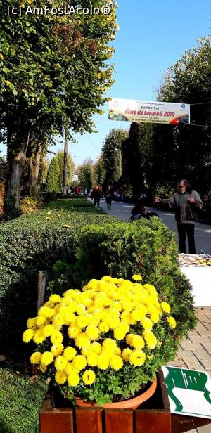 [P14] Aleea principală a Grădinii Botanice Iaşi - plină de vizitatori la expoziţia "Flori de toamnă" - 2019 » foto by gettyy
 - 
<span class="allrVoted glyphicon glyphicon-heart hidden" id="av1162361"></span>
<a class="m-l-10 hidden" id="sv1162361" onclick="voting_Foto_DelVot(,1162361,13735)" role="button">șterge vot <span class="glyphicon glyphicon-remove"></span></a>
<a id="v91162361" class=" c-red"  onclick="voting_Foto_SetVot(1162361)" role="button"><span class="glyphicon glyphicon-heart-empty"></span> <b>LIKE</b> = Votează poza</a> <img class="hidden"  id="f1162361W9" src="/imagini/loader.gif" border="0" /><span class="AjErrMes hidden" id="e1162361ErM"></span>