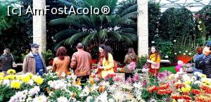 [P02] Expoziţia "Flori de toamnă"- 2019 atrage anual peste 300.000 de vizitatori » foto by gettyy
 - 
<span class="allrVoted glyphicon glyphicon-heart hidden" id="av1162349"></span>
<a class="m-l-10 hidden" id="sv1162349" onclick="voting_Foto_DelVot(,1162349,13735)" role="button">șterge vot <span class="glyphicon glyphicon-remove"></span></a>
<a id="v91162349" class=" c-red"  onclick="voting_Foto_SetVot(1162349)" role="button"><span class="glyphicon glyphicon-heart-empty"></span> <b>LIKE</b> = Votează poza</a> <img class="hidden"  id="f1162349W9" src="/imagini/loader.gif" border="0" /><span class="AjErrMes hidden" id="e1162349ErM"></span>