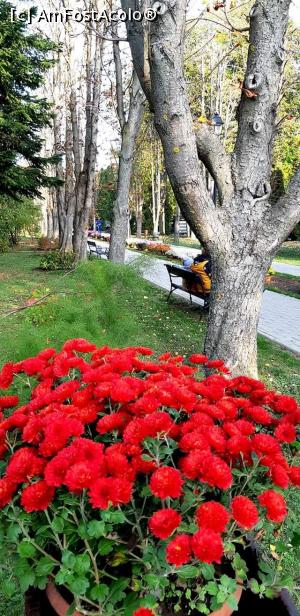 [P21] Zi de toamnă pe aleile Grădinii Botanice Iaşi » foto by gettyy
 - 
<span class="allrVoted glyphicon glyphicon-heart hidden" id="av1162368"></span>
<a class="m-l-10 hidden" id="sv1162368" onclick="voting_Foto_DelVot(,1162368,13735)" role="button">șterge vot <span class="glyphicon glyphicon-remove"></span></a>
<a id="v91162368" class=" c-red"  onclick="voting_Foto_SetVot(1162368)" role="button"><span class="glyphicon glyphicon-heart-empty"></span> <b>LIKE</b> = Votează poza</a> <img class="hidden"  id="f1162368W9" src="/imagini/loader.gif" border="0" /><span class="AjErrMes hidden" id="e1162368ErM"></span>