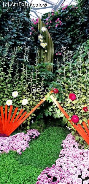 [P25] Aranjamente florale deosebite - Expoziţia "Flori de toamnă" - 2019 » foto by gettyy
 - 
<span class="allrVoted glyphicon glyphicon-heart hidden" id="av1162372"></span>
<a class="m-l-10 hidden" id="sv1162372" onclick="voting_Foto_DelVot(,1162372,13735)" role="button">șterge vot <span class="glyphicon glyphicon-remove"></span></a>
<a id="v91162372" class=" c-red"  onclick="voting_Foto_SetVot(1162372)" role="button"><span class="glyphicon glyphicon-heart-empty"></span> <b>LIKE</b> = Votează poza</a> <img class="hidden"  id="f1162372W9" src="/imagini/loader.gif" border="0" /><span class="AjErrMes hidden" id="e1162372ErM"></span>