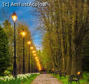 [P28] Grădina Botanică la ceas de seară » foto by gettyy
 - 
<span class="allrVoted glyphicon glyphicon-heart hidden" id="av1162375"></span>
<a class="m-l-10 hidden" id="sv1162375" onclick="voting_Foto_DelVot(,1162375,13735)" role="button">șterge vot <span class="glyphicon glyphicon-remove"></span></a>
<a id="v91162375" class=" c-red"  onclick="voting_Foto_SetVot(1162375)" role="button"><span class="glyphicon glyphicon-heart-empty"></span> <b>LIKE</b> = Votează poza</a> <img class="hidden"  id="f1162375W9" src="/imagini/loader.gif" border="0" /><span class="AjErrMes hidden" id="e1162375ErM"></span>