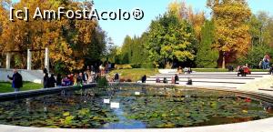 [P30] Lacul cu nuferi toamna » foto by gettyy
 - 
<span class="allrVoted glyphicon glyphicon-heart hidden" id="av1162377"></span>
<a class="m-l-10 hidden" id="sv1162377" onclick="voting_Foto_DelVot(,1162377,13735)" role="button">șterge vot <span class="glyphicon glyphicon-remove"></span></a>
<a id="v91162377" class=" c-red"  onclick="voting_Foto_SetVot(1162377)" role="button"><span class="glyphicon glyphicon-heart-empty"></span> <b>LIKE</b> = Votează poza</a> <img class="hidden"  id="f1162377W9" src="/imagini/loader.gif" border="0" /><span class="AjErrMes hidden" id="e1162377ErM"></span>