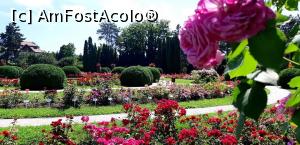 [P39] Culori şi iar culori ..... Secţia Rosarium » foto by gettyy
 - 
<span class="allrVoted glyphicon glyphicon-heart hidden" id="av1162386"></span>
<a class="m-l-10 hidden" id="sv1162386" onclick="voting_Foto_DelVot(,1162386,13735)" role="button">șterge vot <span class="glyphicon glyphicon-remove"></span></a>
<a id="v91162386" class=" c-red"  onclick="voting_Foto_SetVot(1162386)" role="button"><span class="glyphicon glyphicon-heart-empty"></span> <b>LIKE</b> = Votează poza</a> <img class="hidden"  id="f1162386W9" src="/imagini/loader.gif" border="0" /><span class="AjErrMes hidden" id="e1162386ErM"></span>