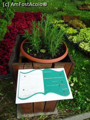 [P23] Plante - explicații în Braille. » foto by tata123 🔱
 - 
<span class="allrVoted glyphicon glyphicon-heart hidden" id="av1232537"></span>
<a class="m-l-10 hidden" id="sv1232537" onclick="voting_Foto_DelVot(,1232537,13735)" role="button">șterge vot <span class="glyphicon glyphicon-remove"></span></a>
<a id="v91232537" class=" c-red"  onclick="voting_Foto_SetVot(1232537)" role="button"><span class="glyphicon glyphicon-heart-empty"></span> <b>LIKE</b> = Votează poza</a> <img class="hidden"  id="f1232537W9" src="/imagini/loader.gif" border="0" /><span class="AjErrMes hidden" id="e1232537ErM"></span>
