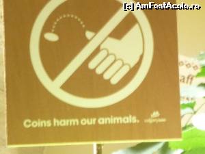 [P25] Pentru cei care mai cred c-o moneda poate schimba destinul...  » foto by Bujie
 - 
<span class="allrVoted glyphicon glyphicon-heart hidden" id="av642183"></span>
<a class="m-l-10 hidden" id="sv642183" onclick="voting_Foto_DelVot(,642183,13751)" role="button">șterge vot <span class="glyphicon glyphicon-remove"></span></a>
<a id="v9642183" class=" c-red"  onclick="voting_Foto_SetVot(642183)" role="button"><span class="glyphicon glyphicon-heart-empty"></span> <b>LIKE</b> = Votează poza</a> <img class="hidden"  id="f642183W9" src="/imagini/loader.gif" border="0" /><span class="AjErrMes hidden" id="e642183ErM"></span>
